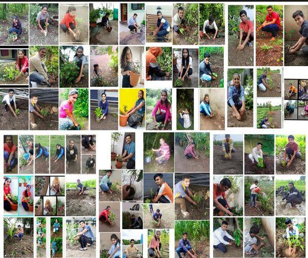 Students planting trees on campus
